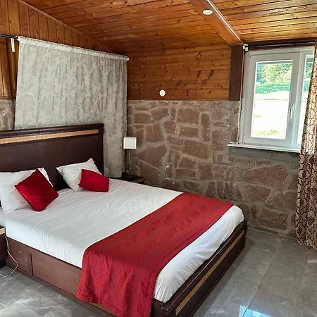 Hotel Parc Les Cigognes 3*
